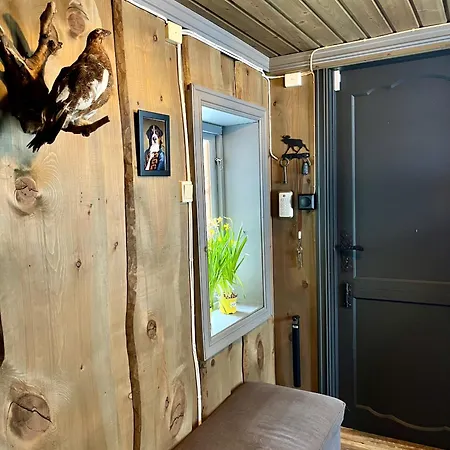 Charming Family With Sauna In Beautiful Valdres *
